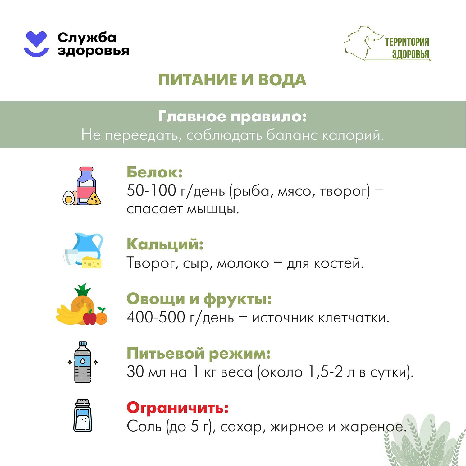 Долгая жизнь — это не просто цифра в паспорте