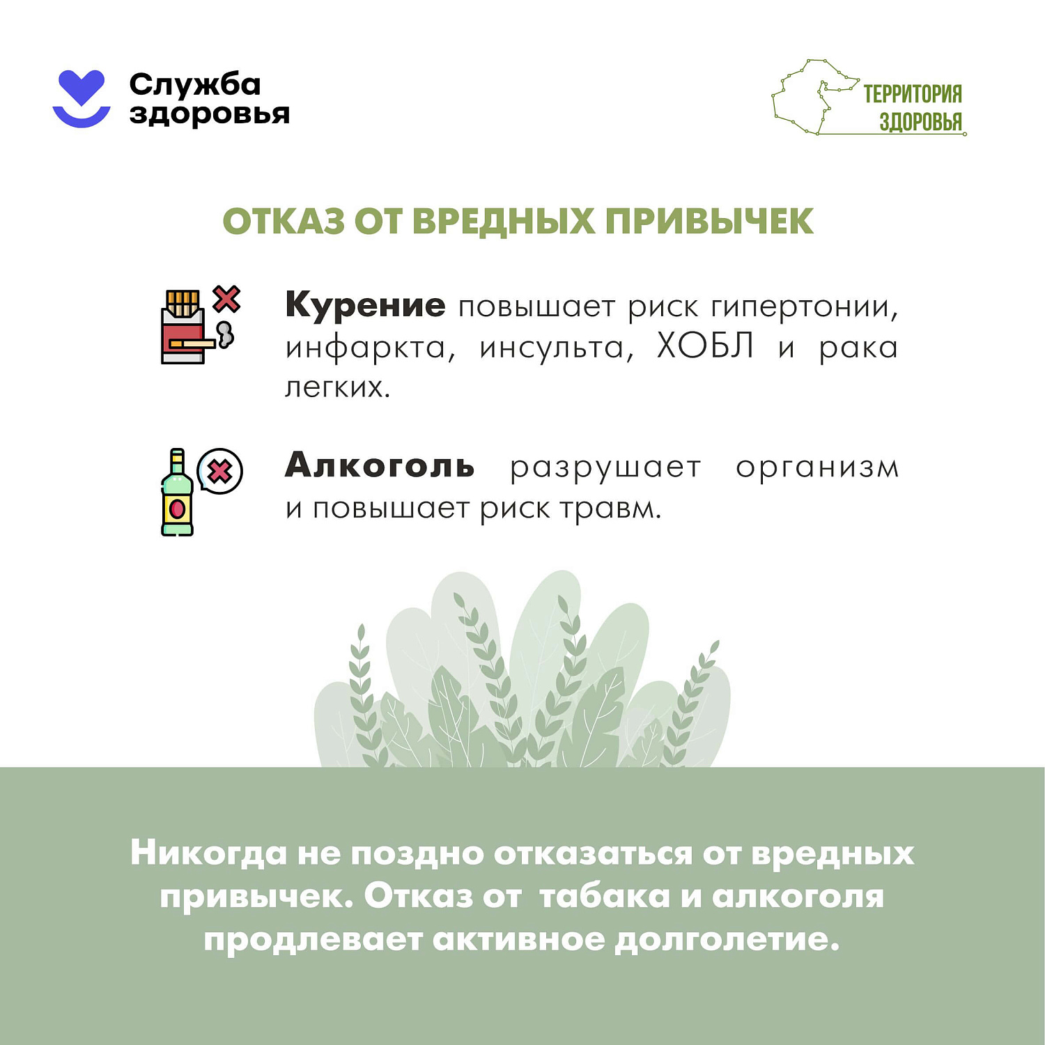 Долгая жизнь — это не просто цифра в паспорте