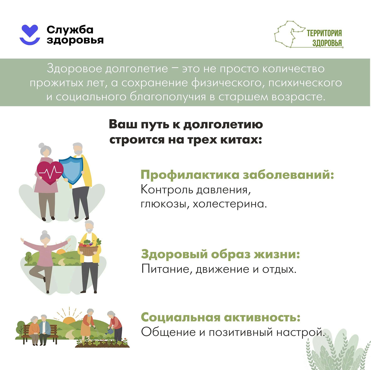 Долгая жизнь — это не просто цифра в паспорте
